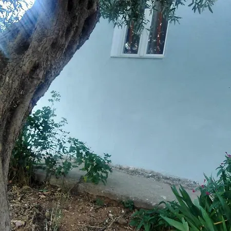 Kokavesis